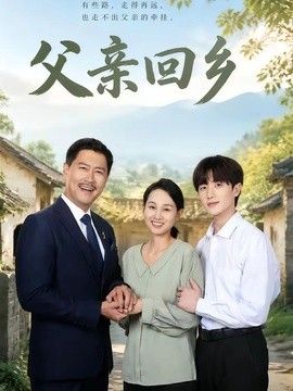 父亲回乡海报